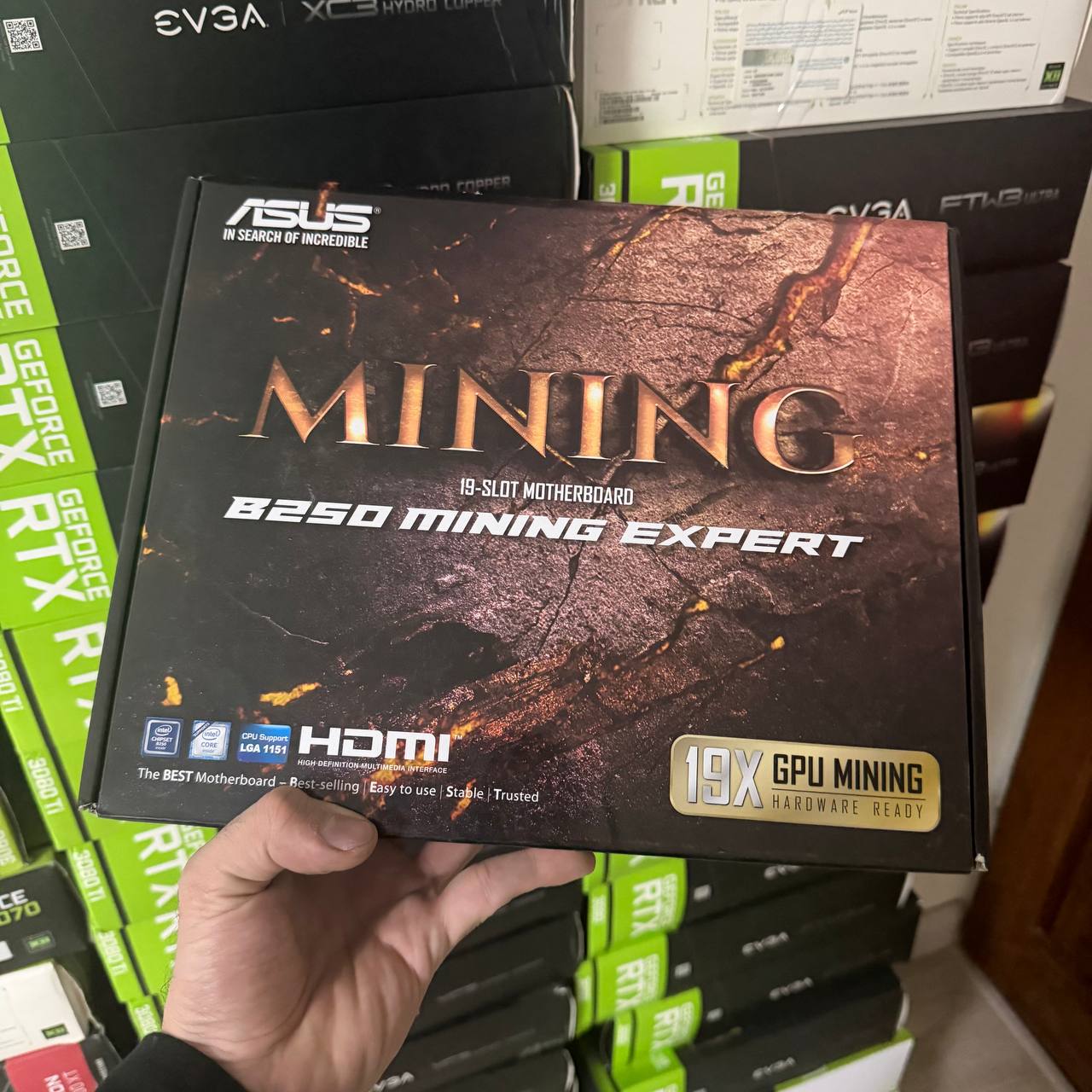 photo_2026-01-05_03-00-55